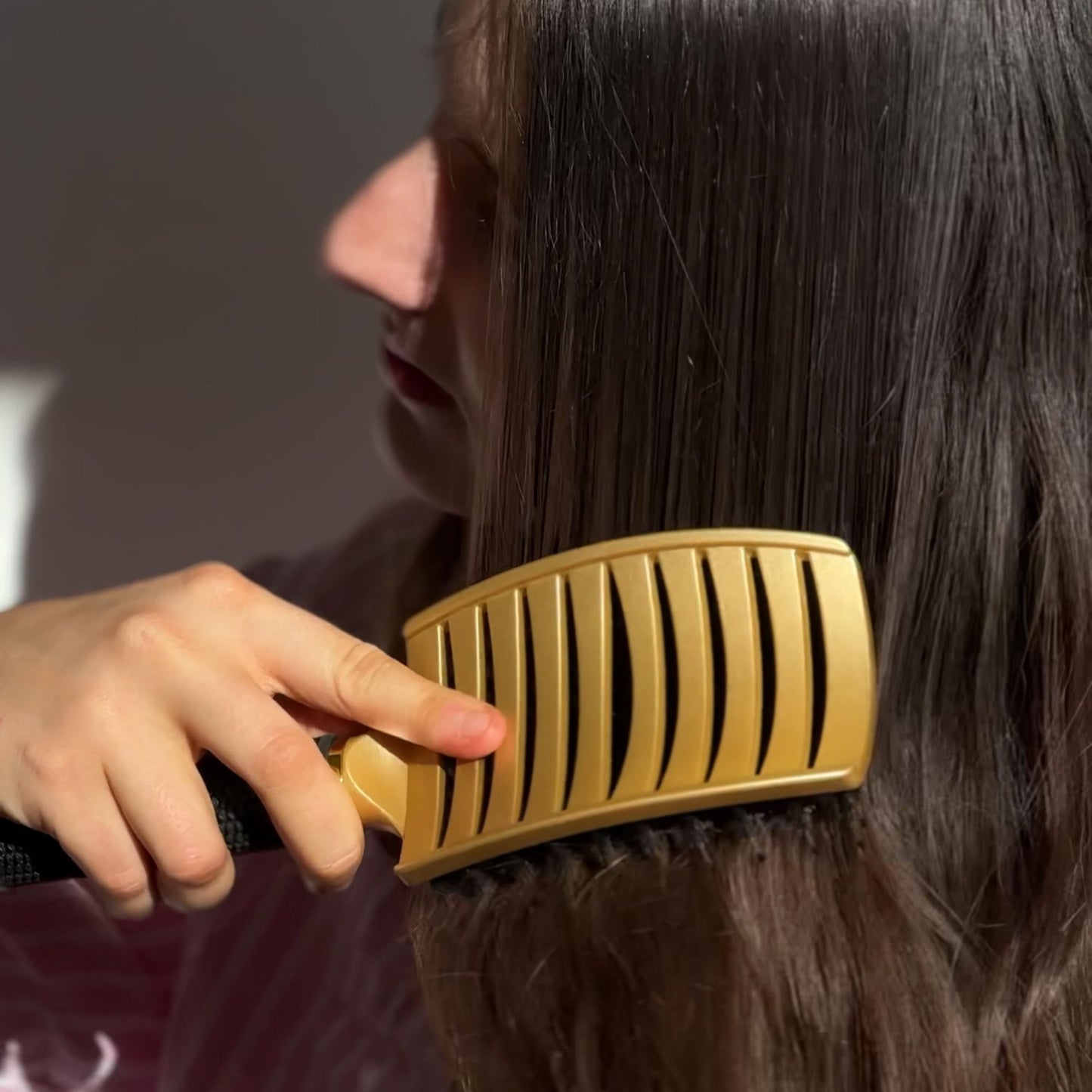 ProBrush Premium