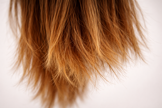 Spaltede spidser: hvorfor opstår de – og hvordan fjerner du dem uden at miste længde?